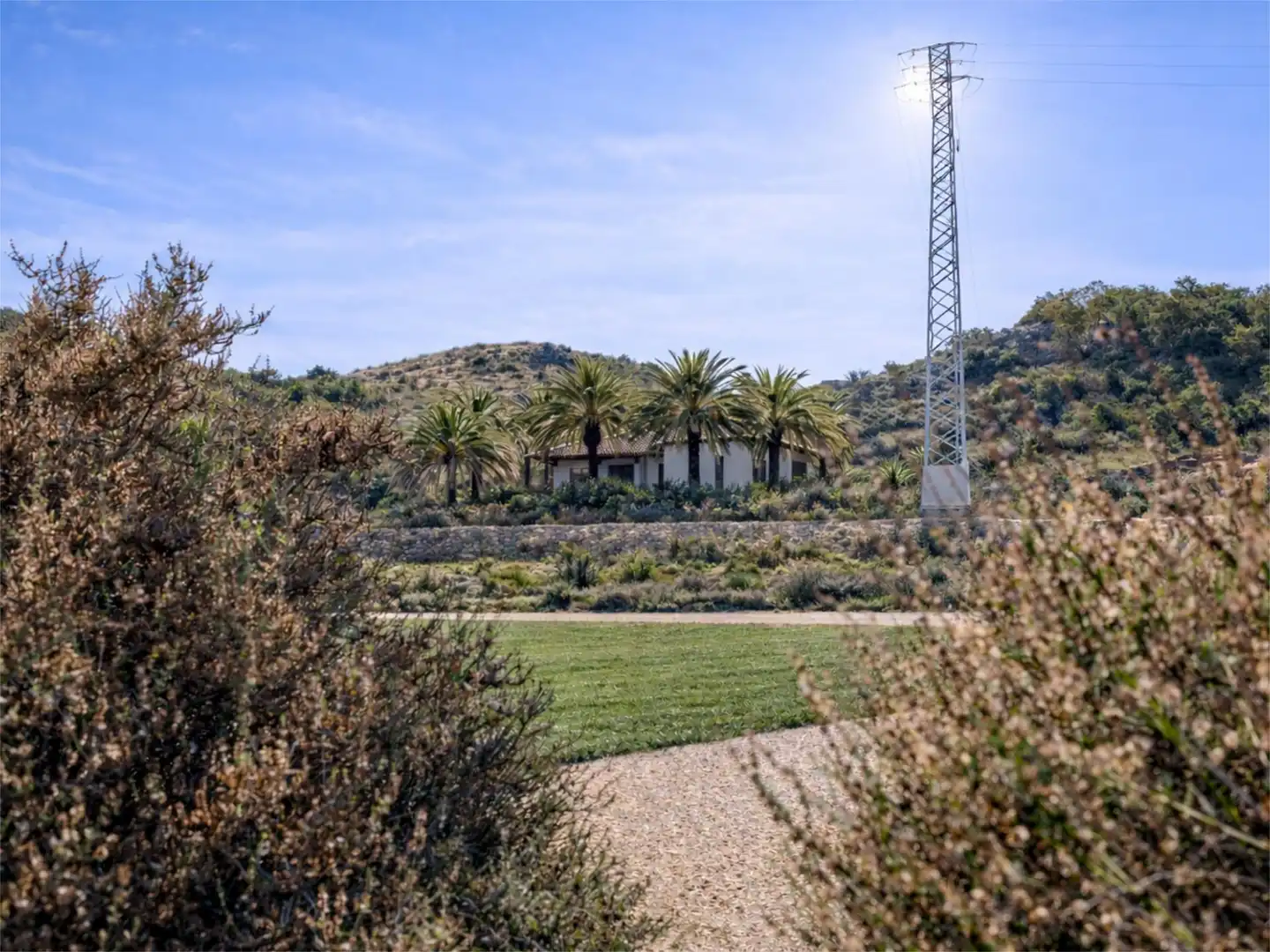 Country homes for sale in Camino Viejo de Saladas, 10, Partidas de Alicante Garden of Country homes for sale in Alicante / Alacant