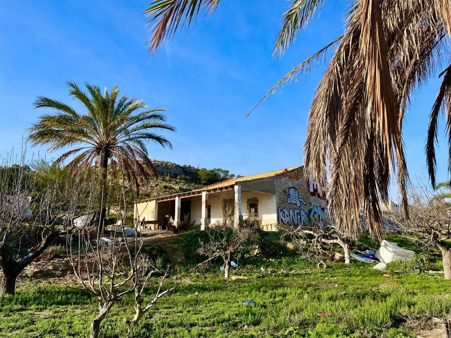 Country homes for sale in Camino Viejo de Saladas, 10, Partidas de Alicante Exterior view of Country homes for sale in Alicante / Alacant