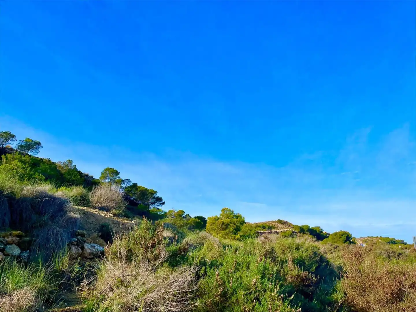 Country homes for sale in Camino Viejo de Saladas, 10, Partidas de Alicante Country homes for sale in Alicante / Alacant
