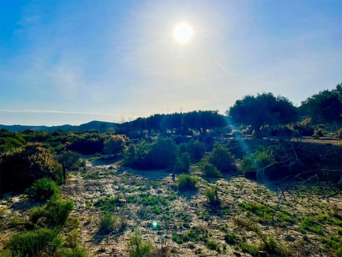 Country homes for sale in Camino Viejo de Saladas, 10, Partidas de Alicante Country homes for sale in Alicante / Alacant