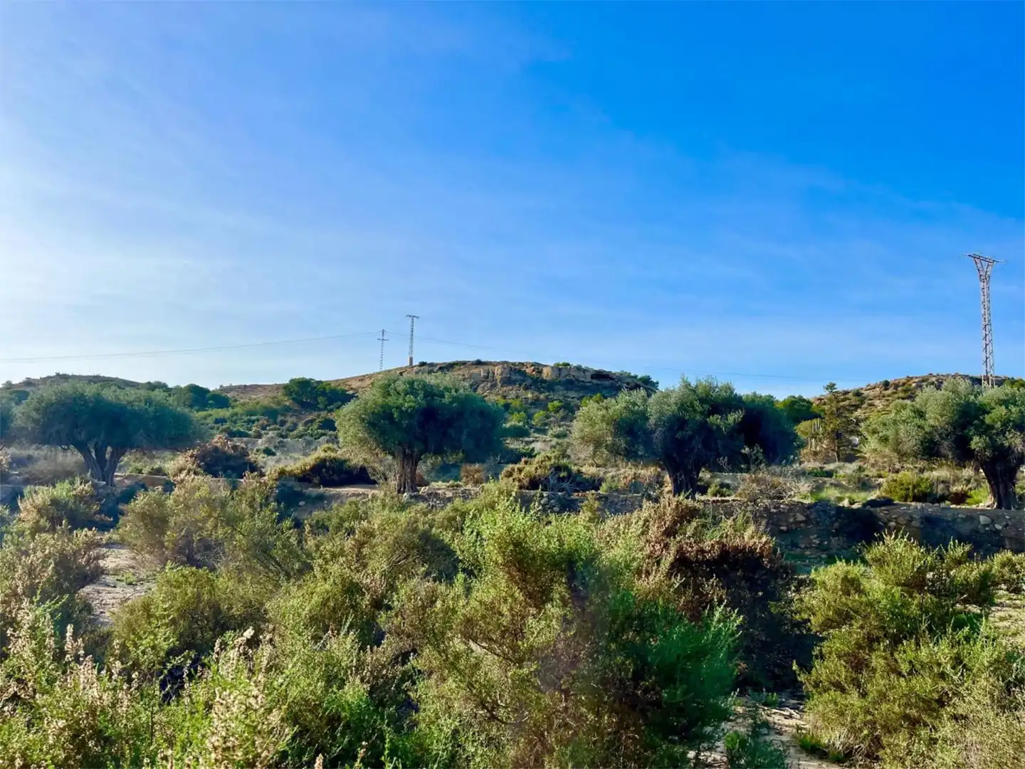 Country homes for sale in Camino Viejo de Saladas, 10, Partidas de Alicante Country homes for sale in Alicante / Alacant