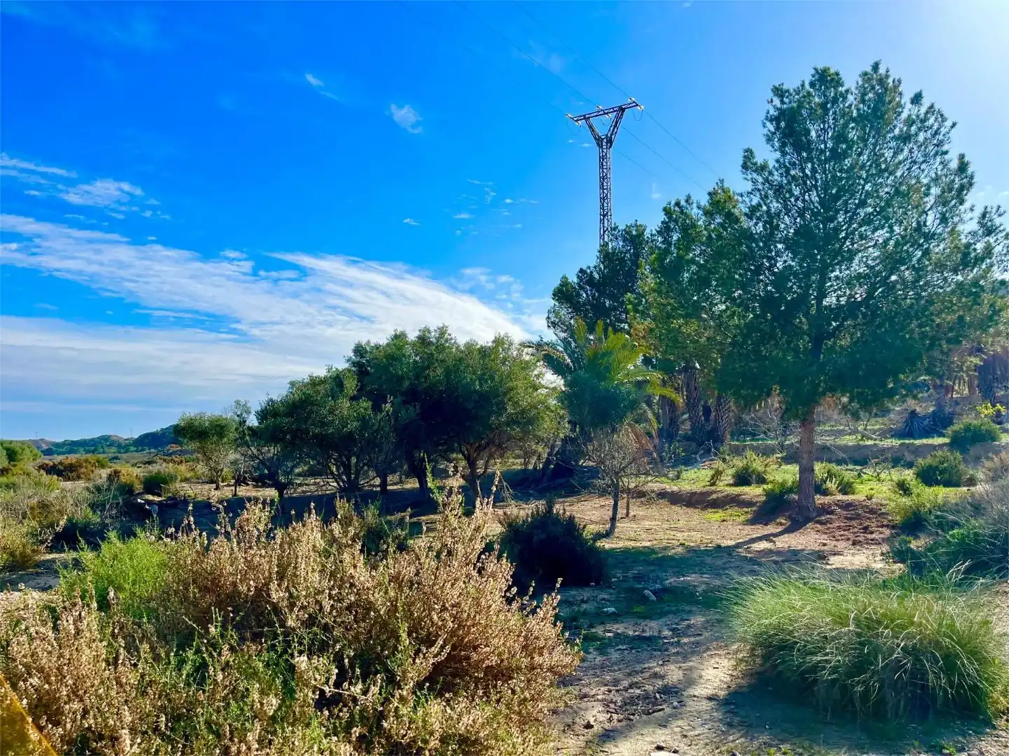 Country homes for sale in Camino Viejo de Saladas, 10, Partidas de Alicante Country homes for sale in Alicante / Alacant