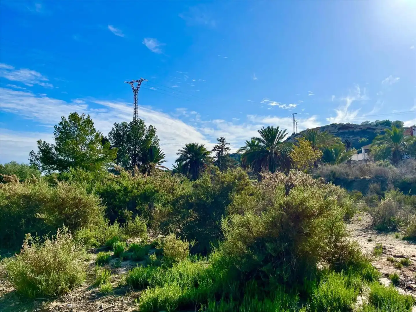 Country homes for sale in Camino Viejo de Saladas, 10, Partidas de Alicante Country homes for sale in Alicante / Alacant