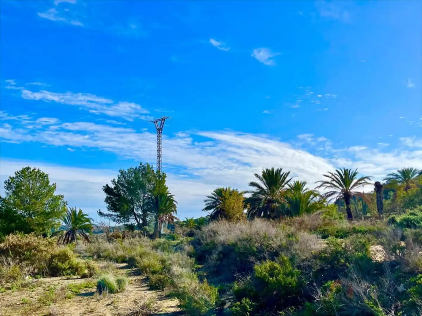 Country homes for sale in Camino Viejo de Saladas, 10, Partidas de Alicante Country homes for sale in Alicante / Alacant