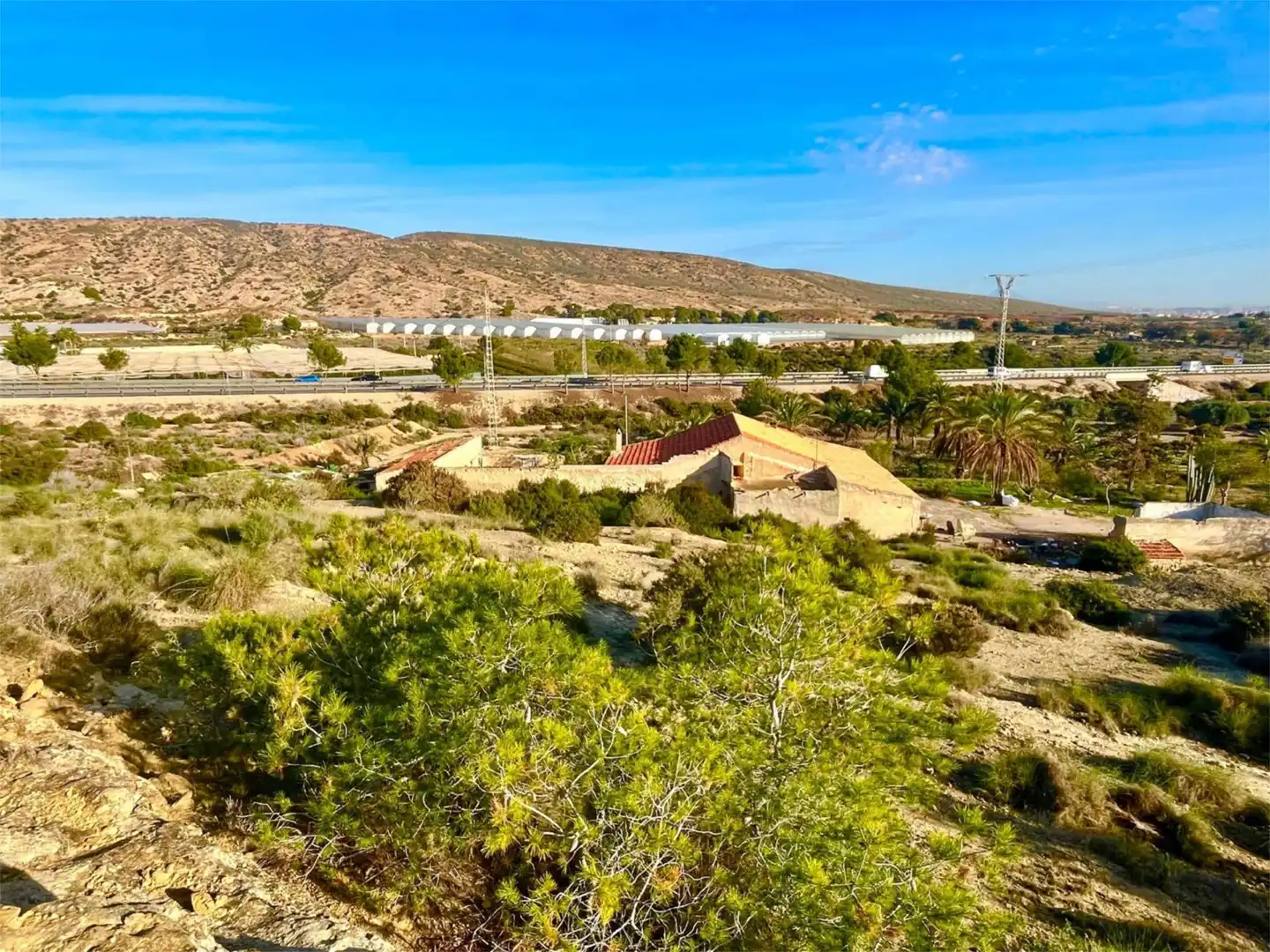Country homes for sale in Camino Viejo de Saladas, 10, Partidas de Alicante Exterior view of Country homes for sale in Alicante / Alacant