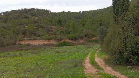 Photo 4 of Land for sale in Tv-7231, 5, Gandesa, Tarragona