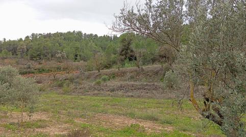 Photo 5 of Land for sale in Tv-7231, 5, Gandesa, Tarragona
