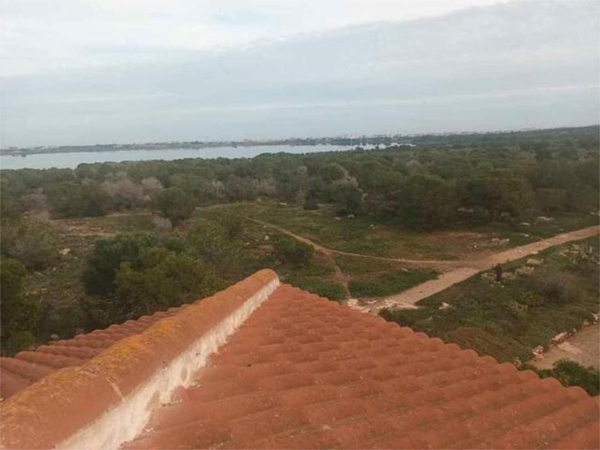 Flat to rent in Torrevieja  with Terrace