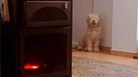 Foto 2 de Casa o xalet en venda a Chelva, Valencia