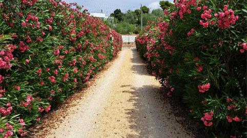 Foto 4 de Casa o xalet en venda a Partida el Planet, 78, Altea ciudad, Altea