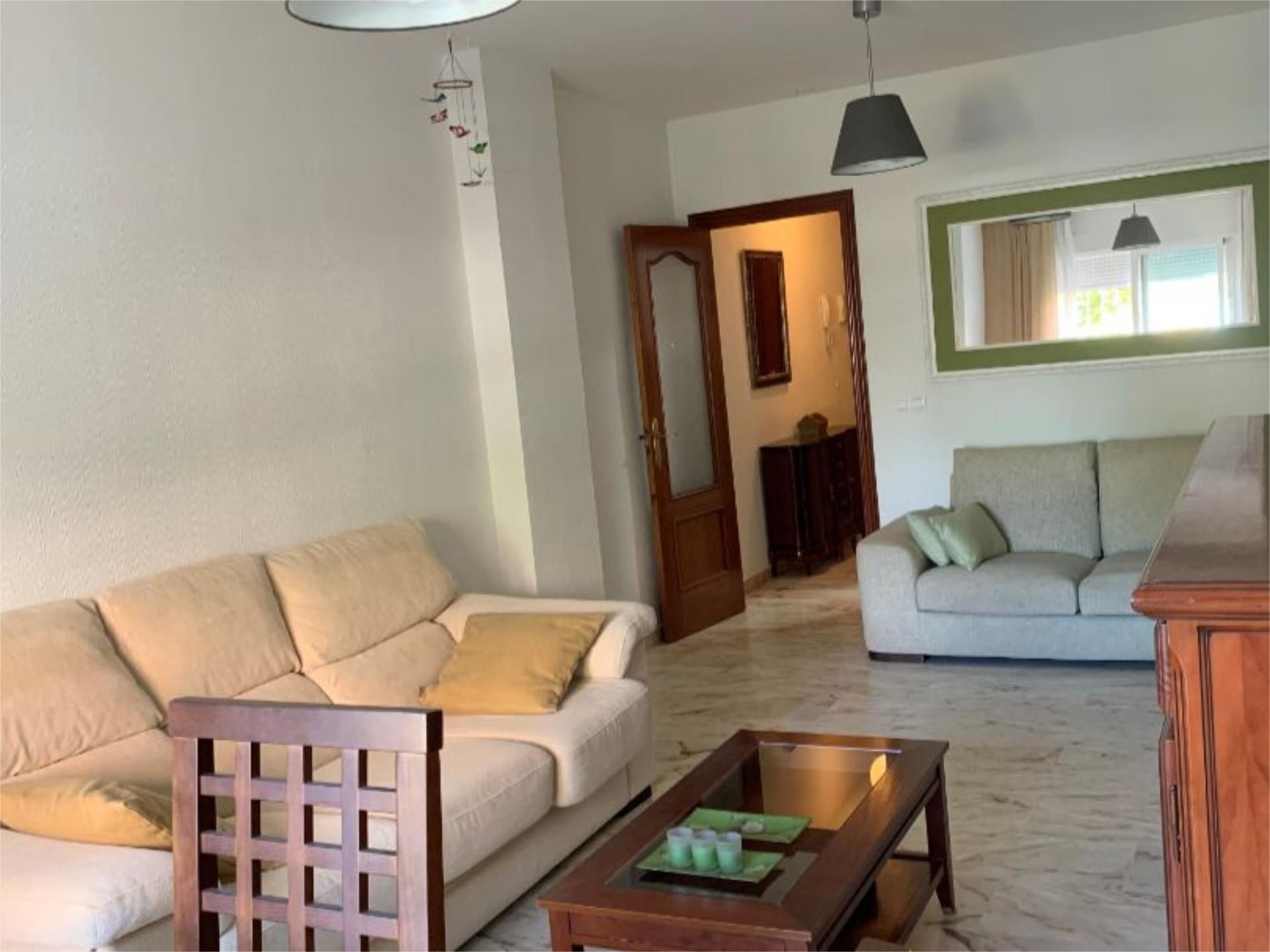 Living room of Flat to rent in Málaga Capital  with Private garden, Swimming Pool and Furnished