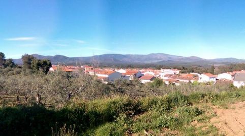 Terreno en venta en Calle Barrio Nuevo, 36, Perales del Puerto, Cáceres - imagen 3 Foto 3 de Terreno en venta en Calle Barrio Nuevo, 36, Perales del Puerto, Cáceres