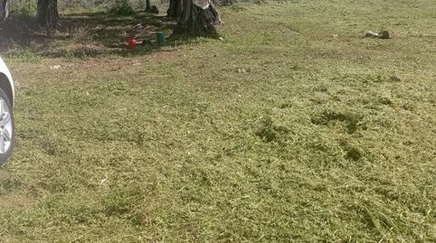 Terreno en venta en Calle Barrio Nuevo, 36, Perales del Puerto, Cáceres - imagen 4 Foto 4 de Terreno en venta en Calle Barrio Nuevo, 36, Perales del Puerto, Cáceres