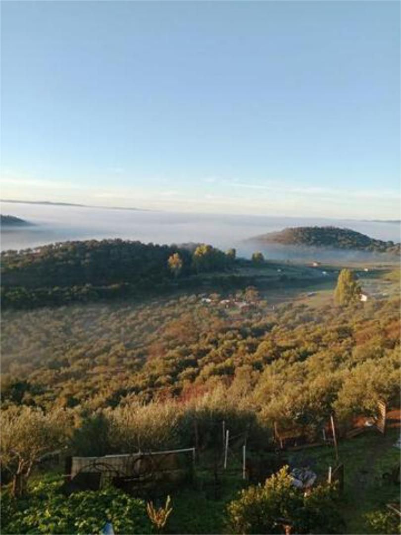 House or chalet for sale in Zufre