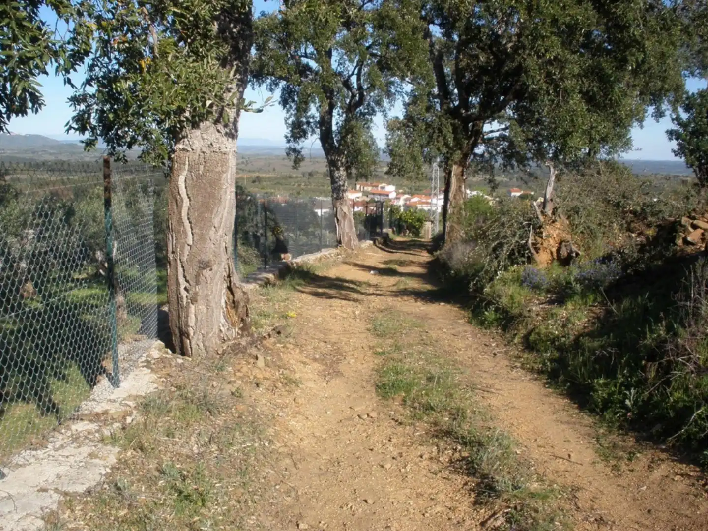 Außenansicht von Grundstücke zum Verkauf in Perales del Puerto