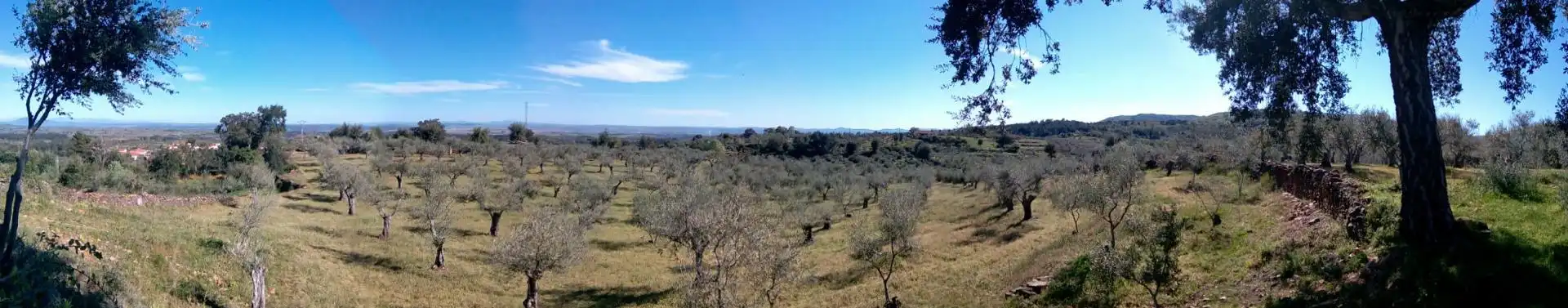 Grundstücke zum Verkauf in Perales del Puerto