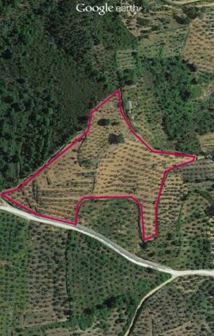 Terreno en Venta en Calleja Obregón, 16 en Perales del Puerto