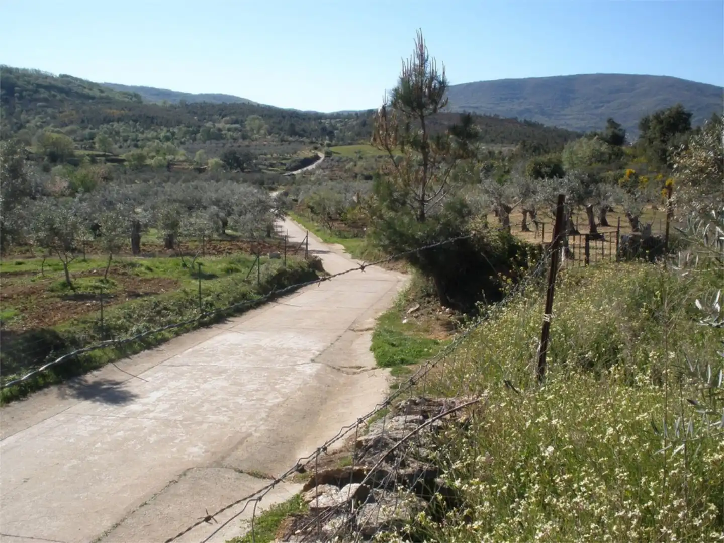 Außenansicht von Grundstücke zum Verkauf in Perales del Puerto