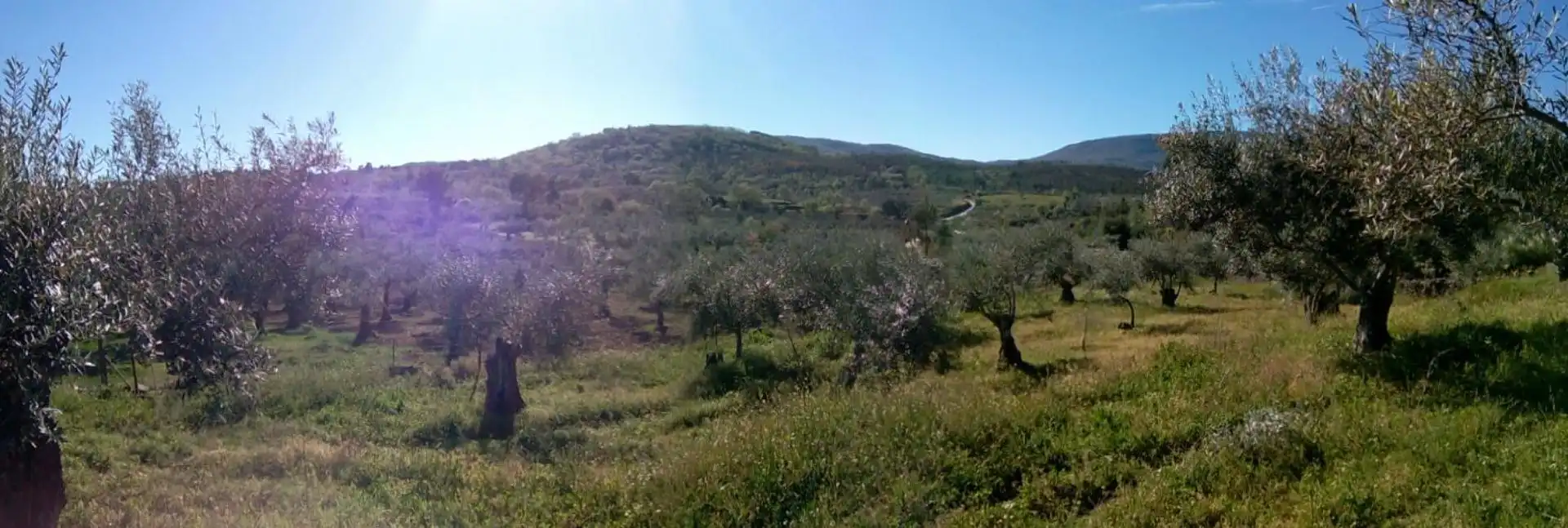 Grundstücke zum Verkauf in Perales del Puerto