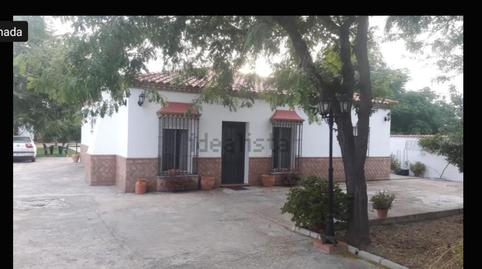 Photo 4 of House or chalet to rent in Calle Almeria, 102a, Carmona, Sevilla