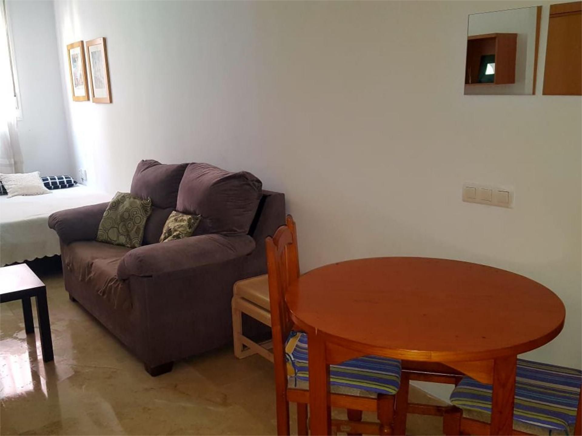 Living room of Flat to rent in Málaga Capital  with Furnished