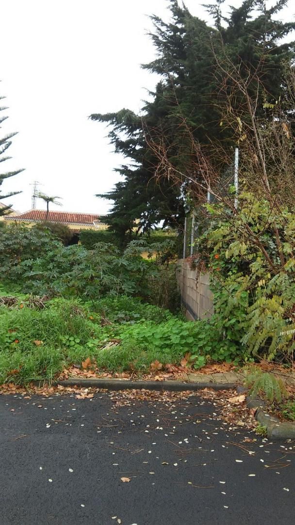 Finca rústica en venda en Tegueste
