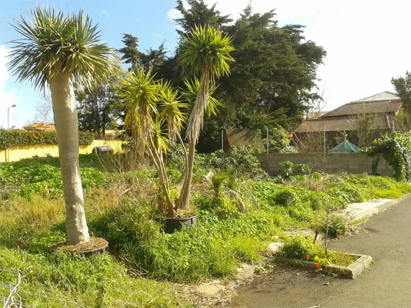Finca rústica en venta en Calle Padilla Alta, 2, Tegueste Finca rústica en venta en Tegueste con Jardín privado