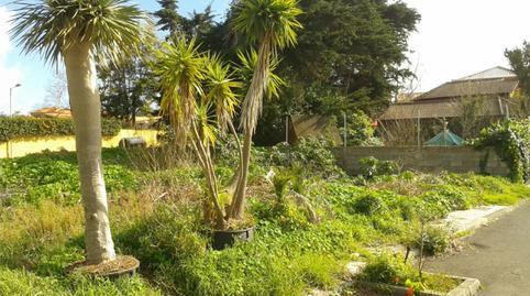 Foto 4 de Finca rústica en venda a Calle Padilla Alta, 2, Tegueste, Santa Cruz de Tenerife