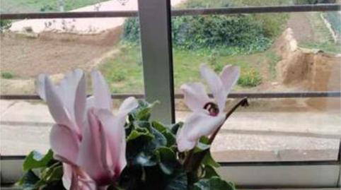 Foto 4 de Casa o xalet en venda a Castrillo Mota de Judíos, Burgos