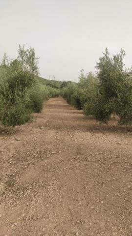 Terreno en Venta en Urbanizacion Ue. E3, 123 en Archidona