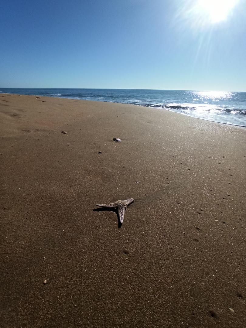 House or chalet for sale in Avenida la Antilla, 13, La Antilla