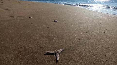 Photo 2 of House or chalet for sale in Avenida la Antilla, 13, La Antilla, Huelva