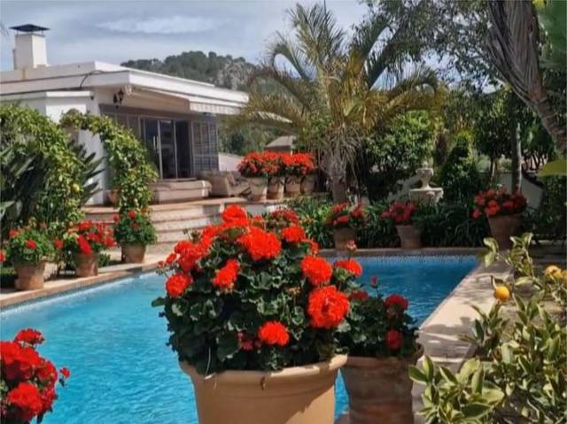 Piso en Venta en Carrer Cortons, 22 en Calvià pueblo