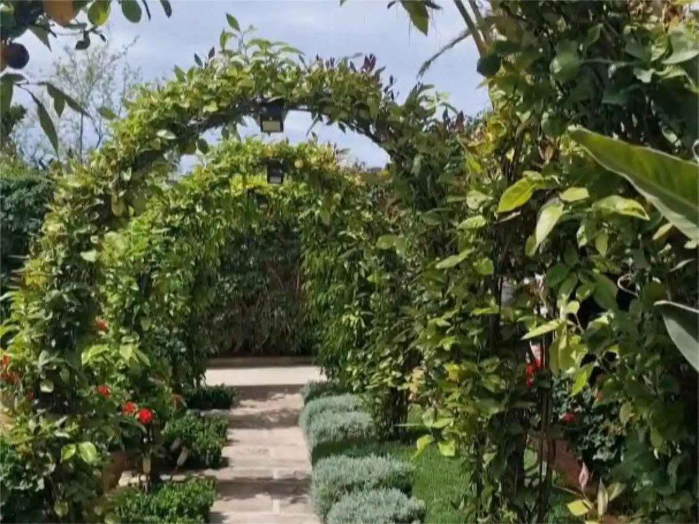 Garden of Flat for sale in Calvià  with Air Conditioner, Terrace and Swimming Pool