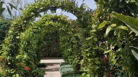 Photo 4 of Flat for sale in Carrer Cortons, 22, Calvià pueblo, Calvià