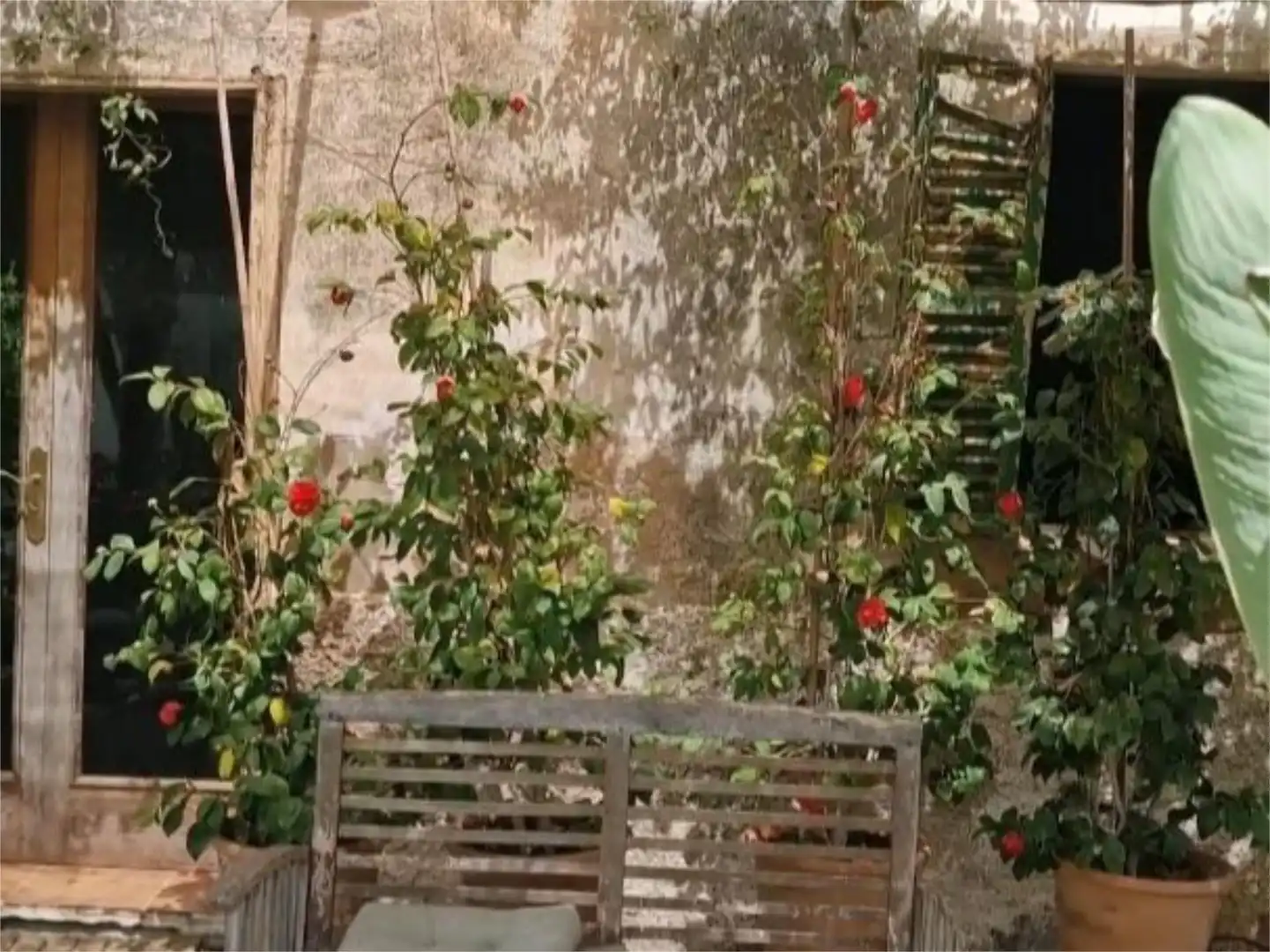 Garden of Flat for sale in Calvià  with Air Conditioner, Terrace and Swimming Pool