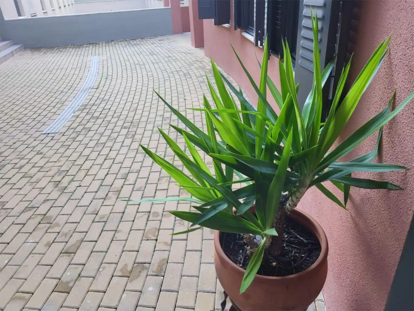 Zimmer in Avenida de Jerez, 1, Pedro Salvador - Las Palmeritas Zimmer in Avenida de Jerez, 1, Pedro Salvador - Las Palmeritas