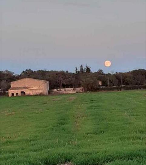 House or chalet for sale in Sineu, Illes Balears - image 2 Photo 2 of House or chalet for sale in Sineu, Illes Balears