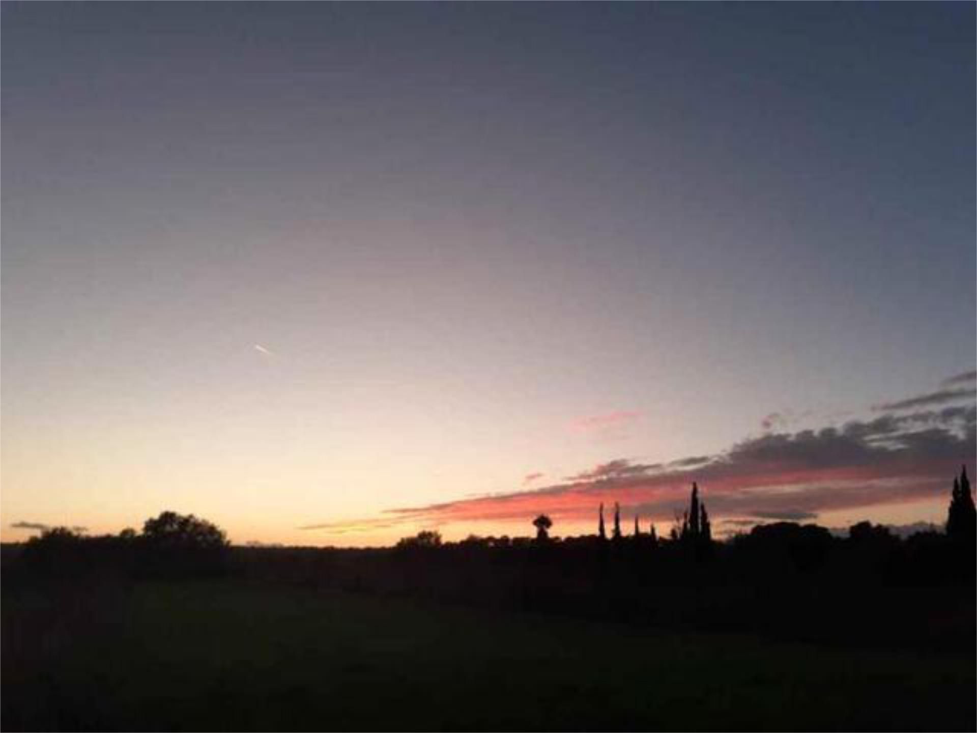 Exterior view of House or chalet for sale in Sineu  with Terrace