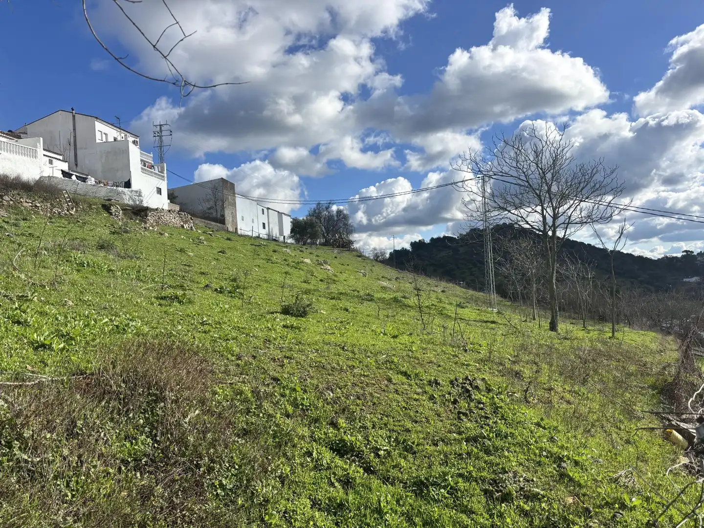 Houses for sale in Segura de León