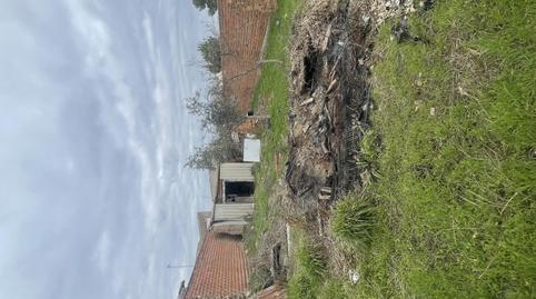 Foto 4 de Finca rústica en venta en Camino Sant Ana, 10, San Martín de Pusa, Toledo