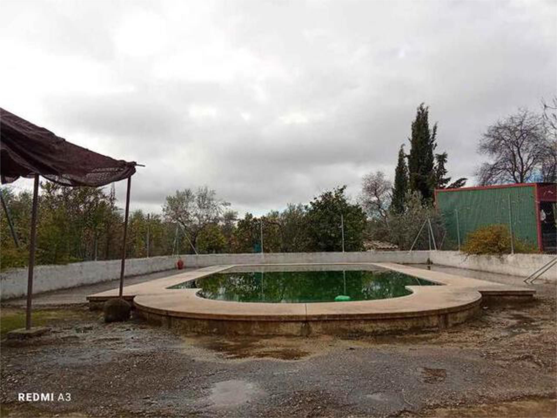 Swimming pool of Single-family semi-detached for sale in La Rambla  with Private garden, Terrace and Swimming Pool