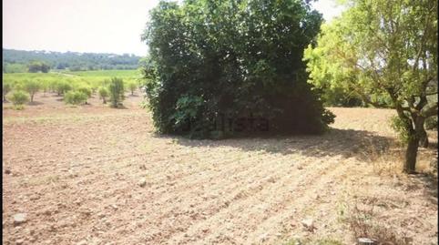 Country house for sale in Carrer Dalt, 6, Mediona, Barcelona - image 5 Photo 5 of Country house for sale in Carrer Dalt, 6, Mediona, Barcelona