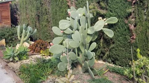 Foto 5 de Casa o xalet en venda a Camí Ermita Moralet, 32, Moralet, Alicante / Alacant
