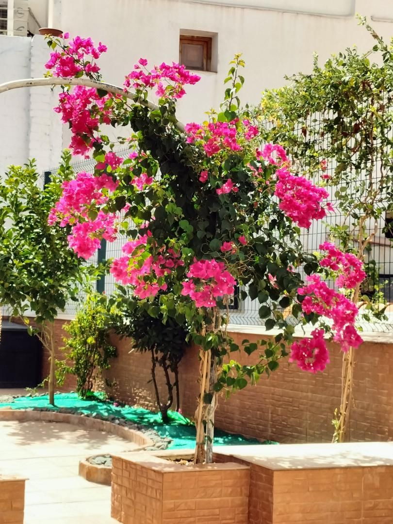 Garden of House or chalet for sale in  Granada Capital  with Air Conditioner, Heating and Private garden