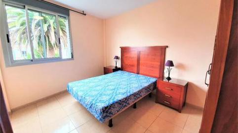 Photo 4 of Flat to rent in Tacoronte - Los Naranjeros, Tacoronte