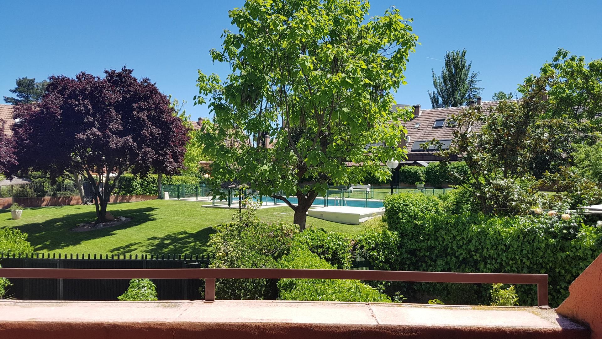 Casa o chalet de alquiler en Calle del Nardo, 22, El Soto de la Moraleja