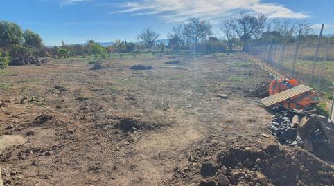 Foto 3 de Finca rústica en venda a Rm-b1, 181, La Arboleja,  Murcia Capital