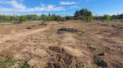 Foto 4 de Finca rústica en venda a Rm-b1, 181, La Arboleja,  Murcia Capital