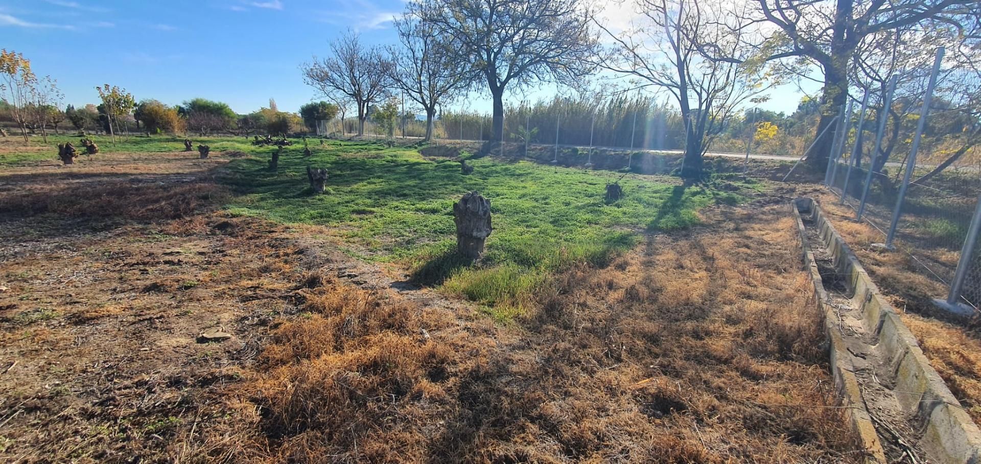 Finca rústica en venda en  Murcia Capital